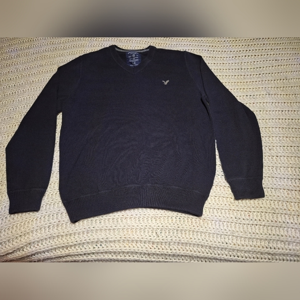 American Eagle outfitters Men's large 100% cotton V neck sweater. Pre-loved